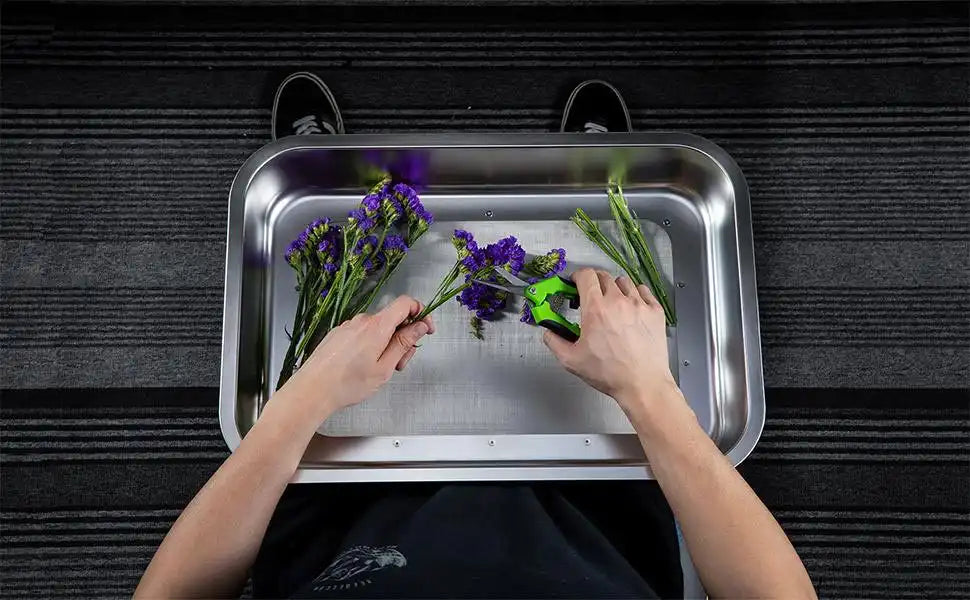 Mogobe Trim Tray with Detachable 150 Micron Screen, 19.5*13.5 inches, top view showing the trimming tray on a person