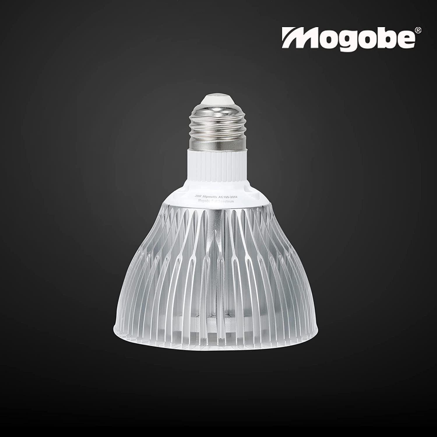 Standard E26 Sockets fits all