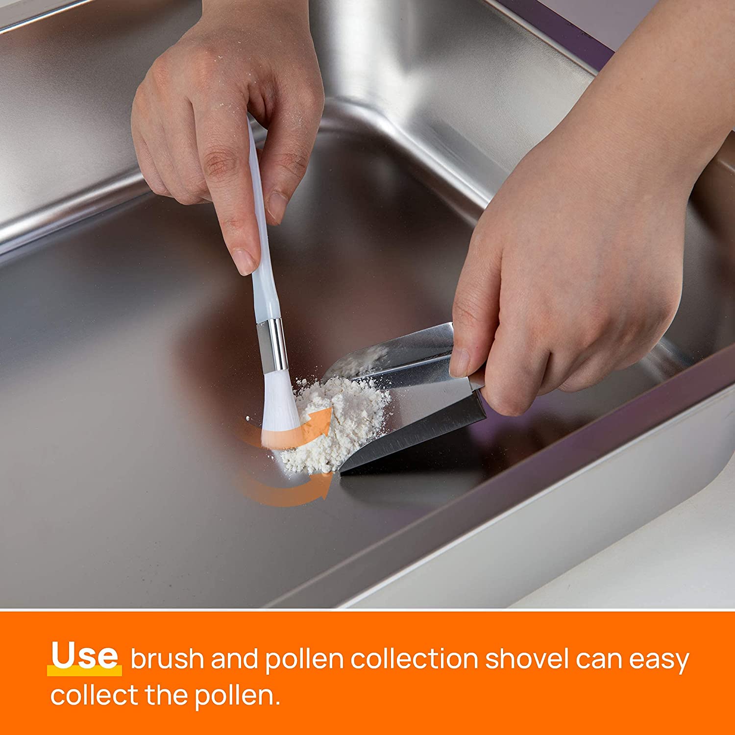 using Pollen collection shovel to showing collecting process in mogobe trim tray